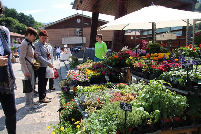 VII. Udaberriko azoka ospatu 13 1526820006255