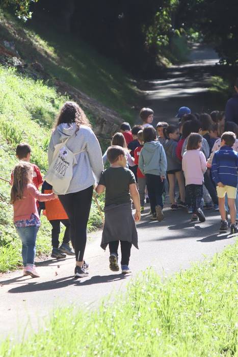 Elosegi parkeko biodibertsit 16 1559225133575