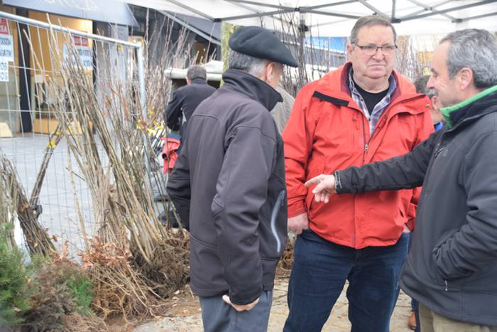 Zuhaitz Azoka, Tolosa, 2017 15 1486819650683