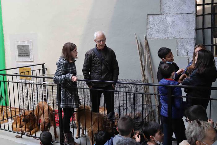 Azoka bizirik 40 1637504020019