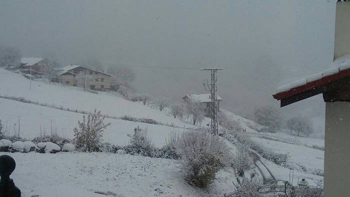 ELURRA 2017 AZAROA 9 1512123672808