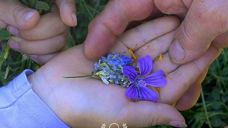 Historias del buen valle