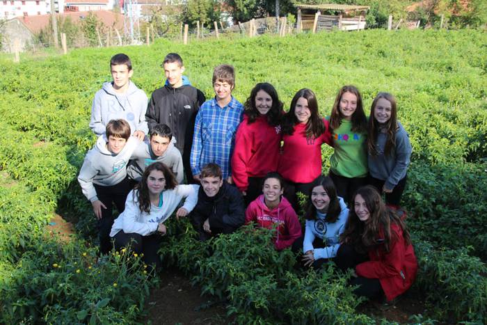 Piperraren zikloa 2015 1 1445442210746