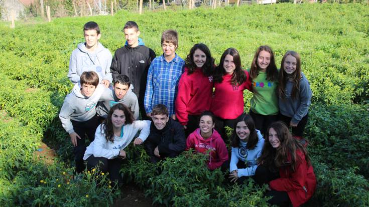 Piperraren zikloa ezagutzen