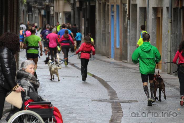 txakur krosa tolosa 2016 8 1458498832109