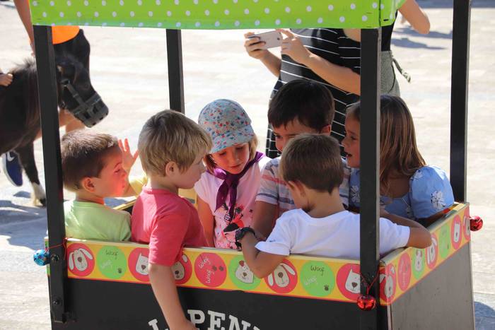 Festak hasteko, poniak eta z 44 1566994002832