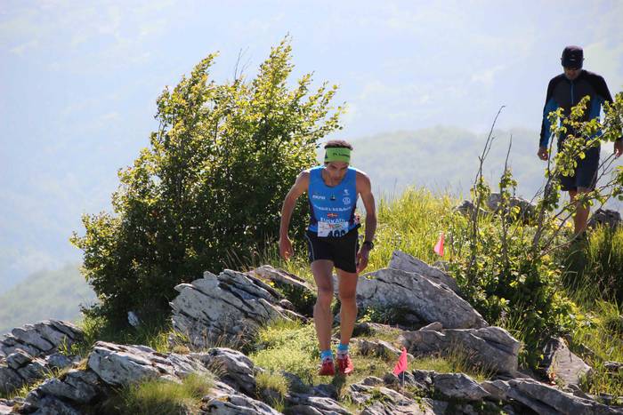 T3T, Hernio 2019 1 1560687973082