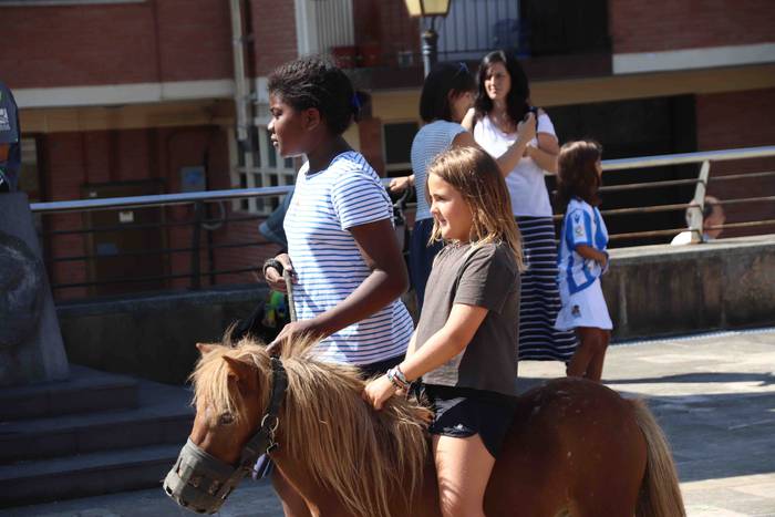 Festak hasteko, poniak eta z 13 1566993972544