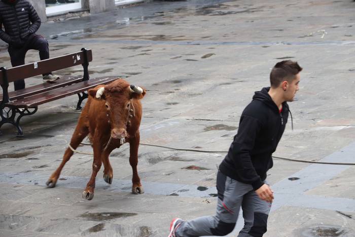 Zezenaren aurrean korrika 10 1551703476402