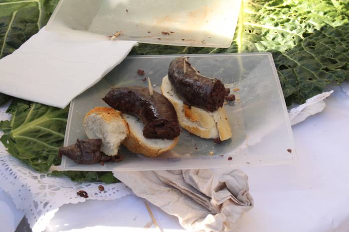 Albizturko Iriarte baserriko 62 1511013758599