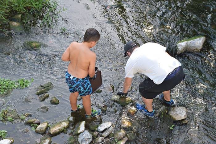 auzolana, ibarran 7 1499249951180