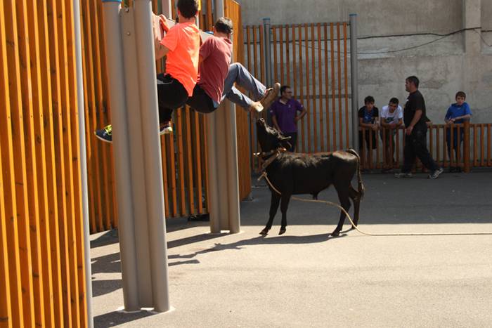 Hernialdeko Jaiak 2017 34 1502714693796