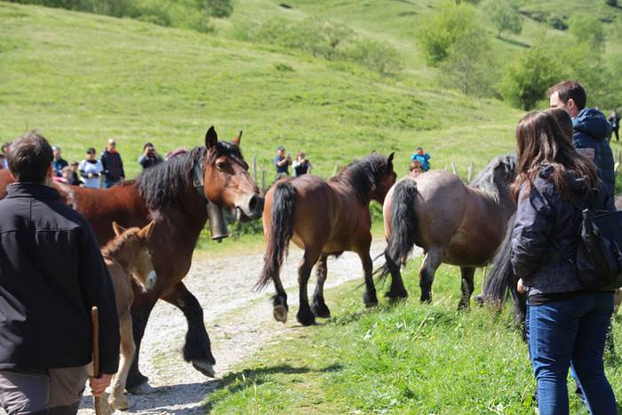 Larre irekiera Larraitzen 20 71 1493640092258