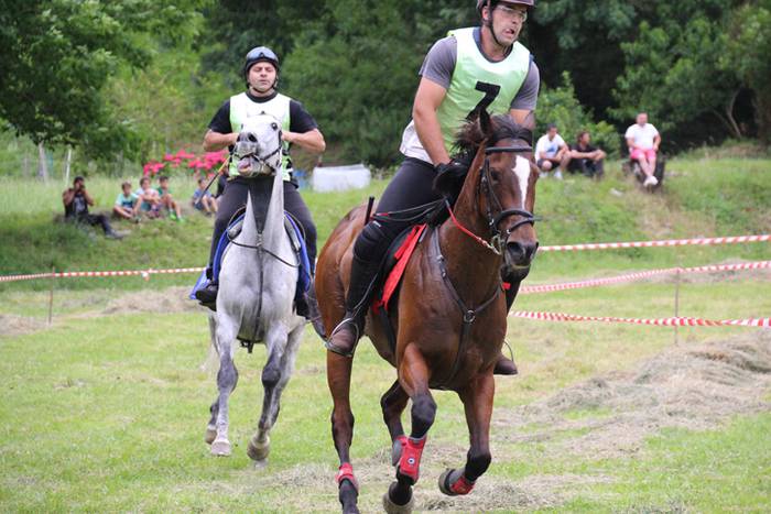 Zaldien gainean lehian 42 1497207358186