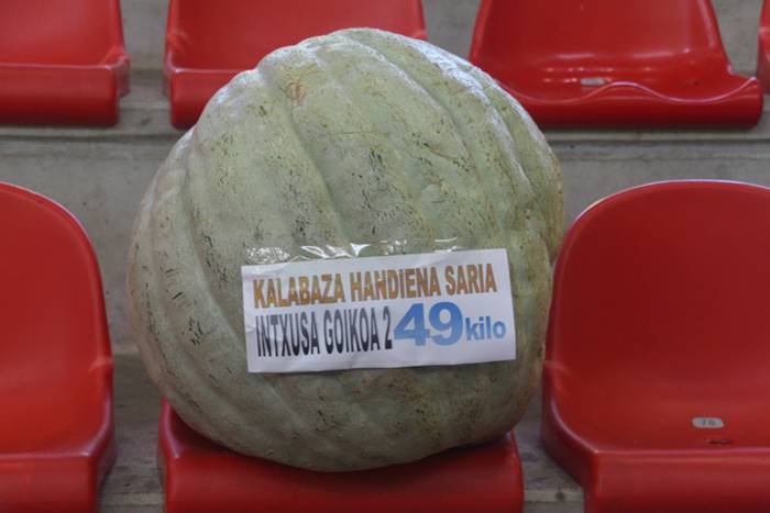 Berezia eta jendetsua 13 1506256448318