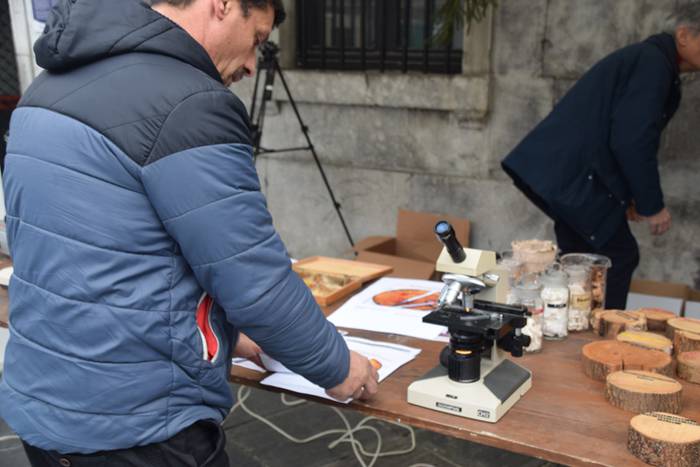 Zuhaitz Azoka, Tolosa, 2017 24 1486819700641