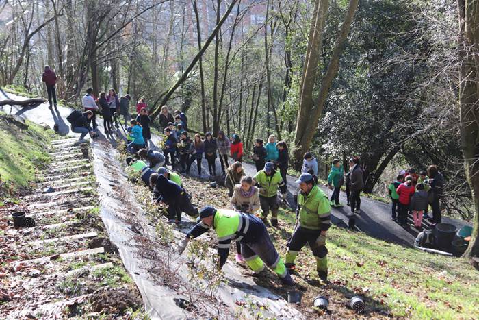 Tolosako ikasleek zuhaitzak  13 1520435495753