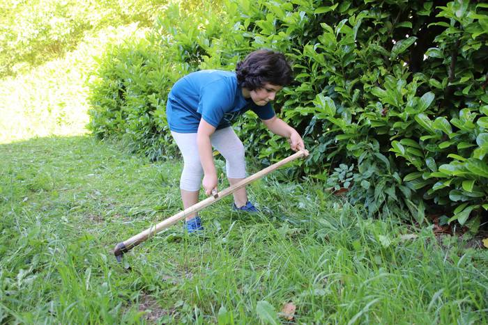 Segak badu bere harrobia 16 1655459021003