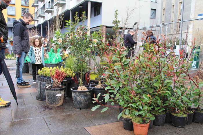 Zuhaitz azoka 2022 15 1645283028488