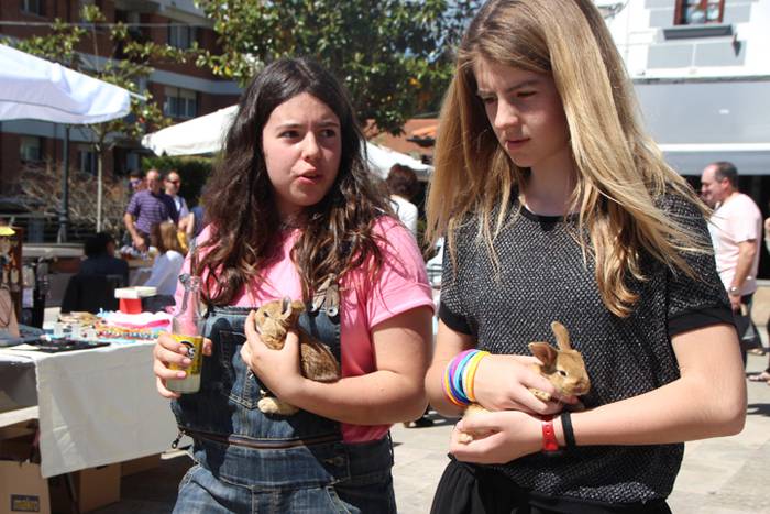 Udaberriko azoka Berrobin 13 1494770454230