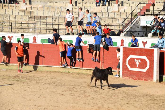 Berazubiko festak 2017, zeze 34 1507822923247