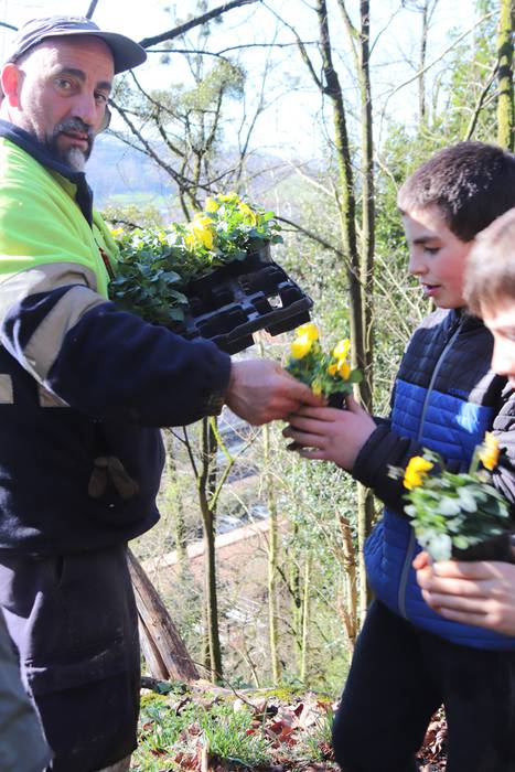 Tolosako ikasleek zuhaitzak  34 1520435634504