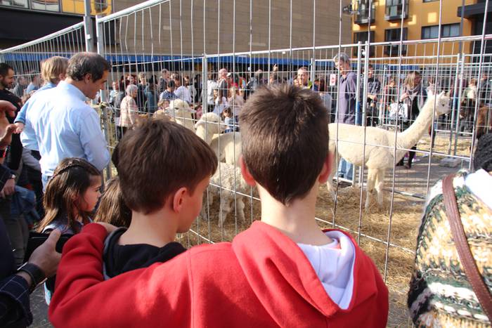 Tolosa Gabonetako Azoka berezia 2015 64 1450532637826