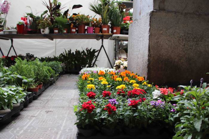 Lore eta Landare Azoka 2019 19 1558171904179