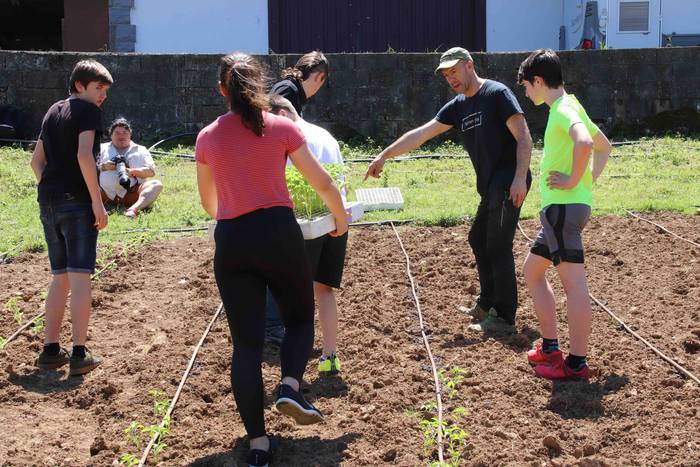 Erein dituzte lehen piperrak 27 1559303476293