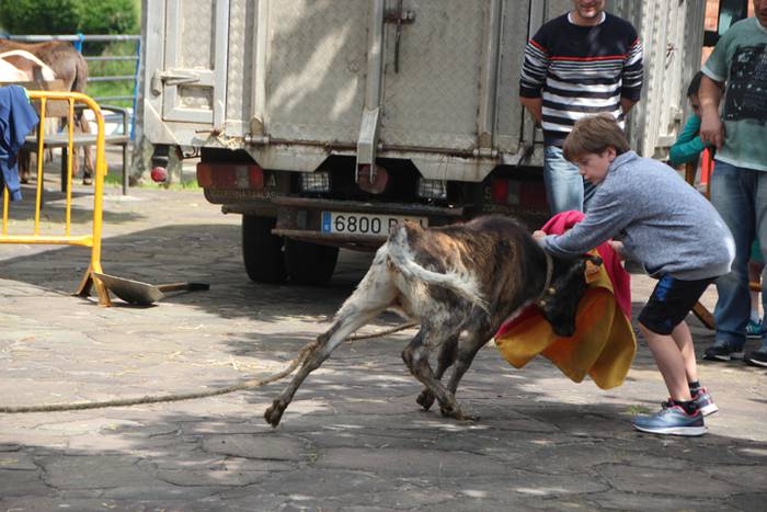 Belauntza San Joan jaiak 2016 Gorriti 18 1466949026306