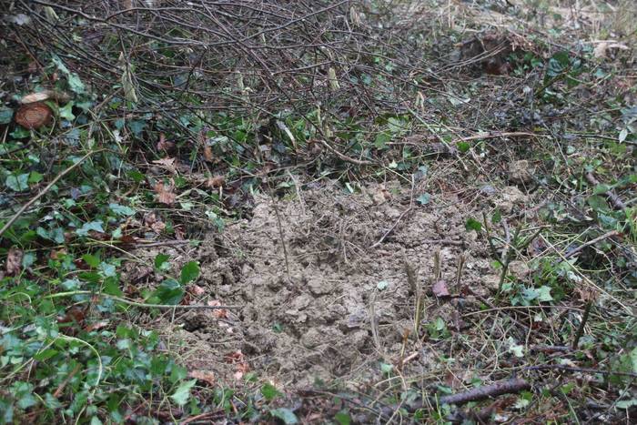 Planeta hemen hasten delako 15 1612615730475