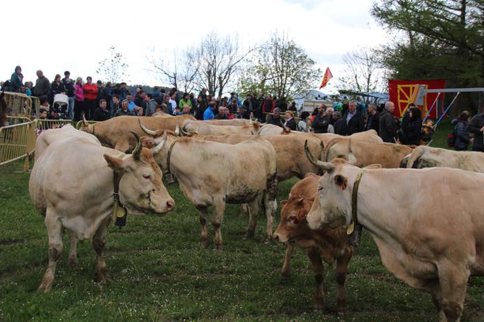 Aralarko larre irekiera 42 1462122137283