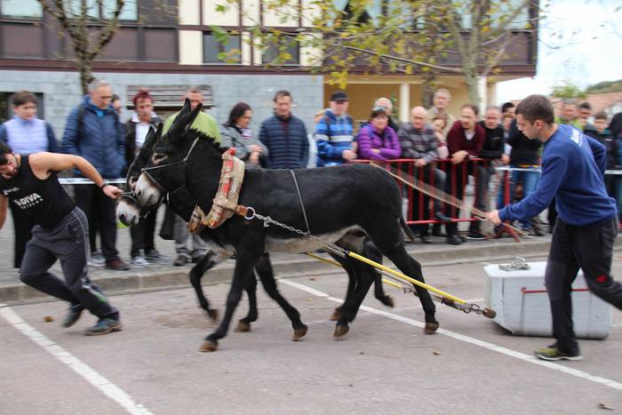 Idiek irabazi diete astoei A 13 1541962063932