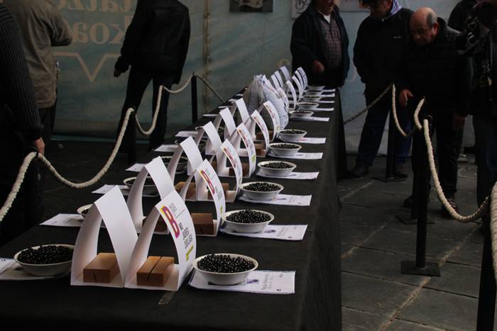 Albizturko Iriarte baserriko 21 1511013516911