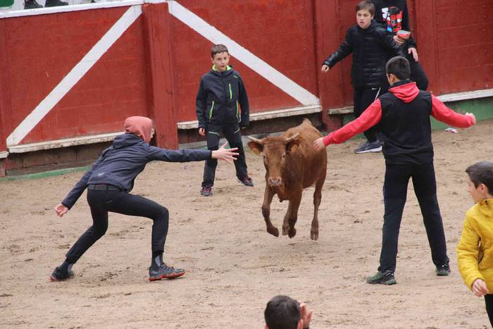 Txikienak zezen txikien aurr 8 1552240869778