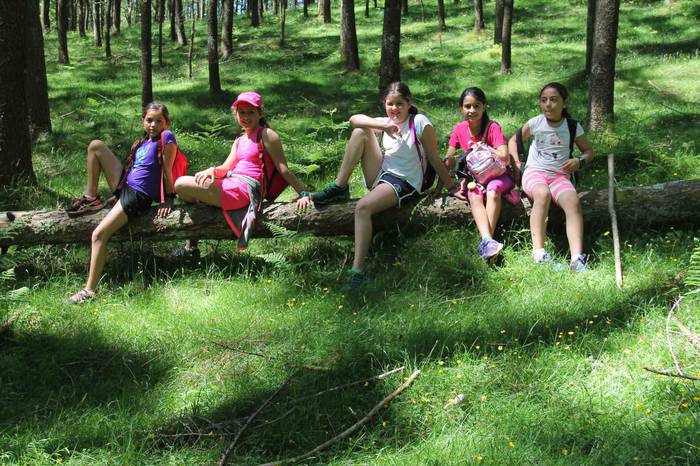 Fleming mendi irteera 11 1559657923454