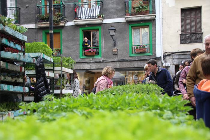 Eta liliek Tolosa ere amets 25 1495290338924