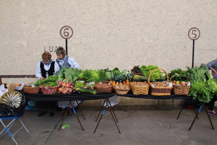 Bertako produktuak nagusi 12 1477233117629