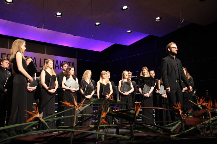 Ahots europarrak, lehiaketak 17 1509654659939