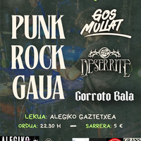 Punk rock gaua