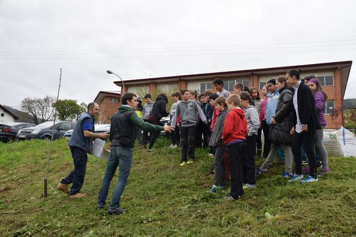 Zuhaitz eguna Ibarra 2 1460992033127