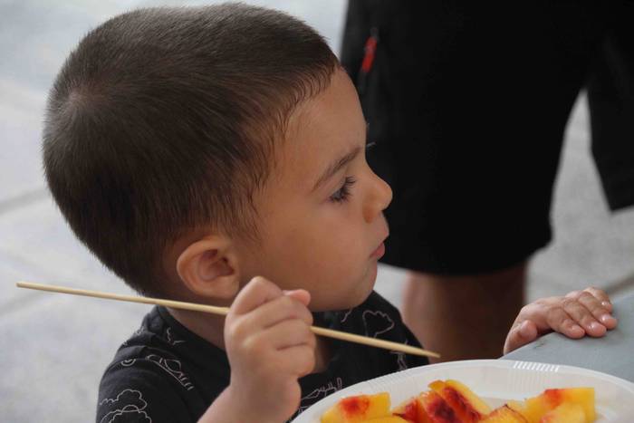 Zizurkilen, irudimena eta da 16 1536232150009