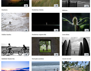 Udako argazki lehiaketako irabazleak, zure esku