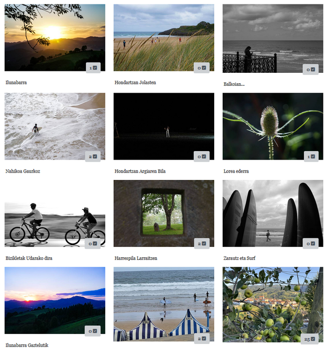 Udako argazki lehiaketako irabazleak, zure esku