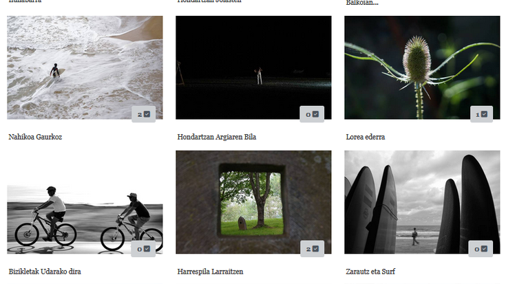 Udako argazki lehiaketako irabazleak, zure esku