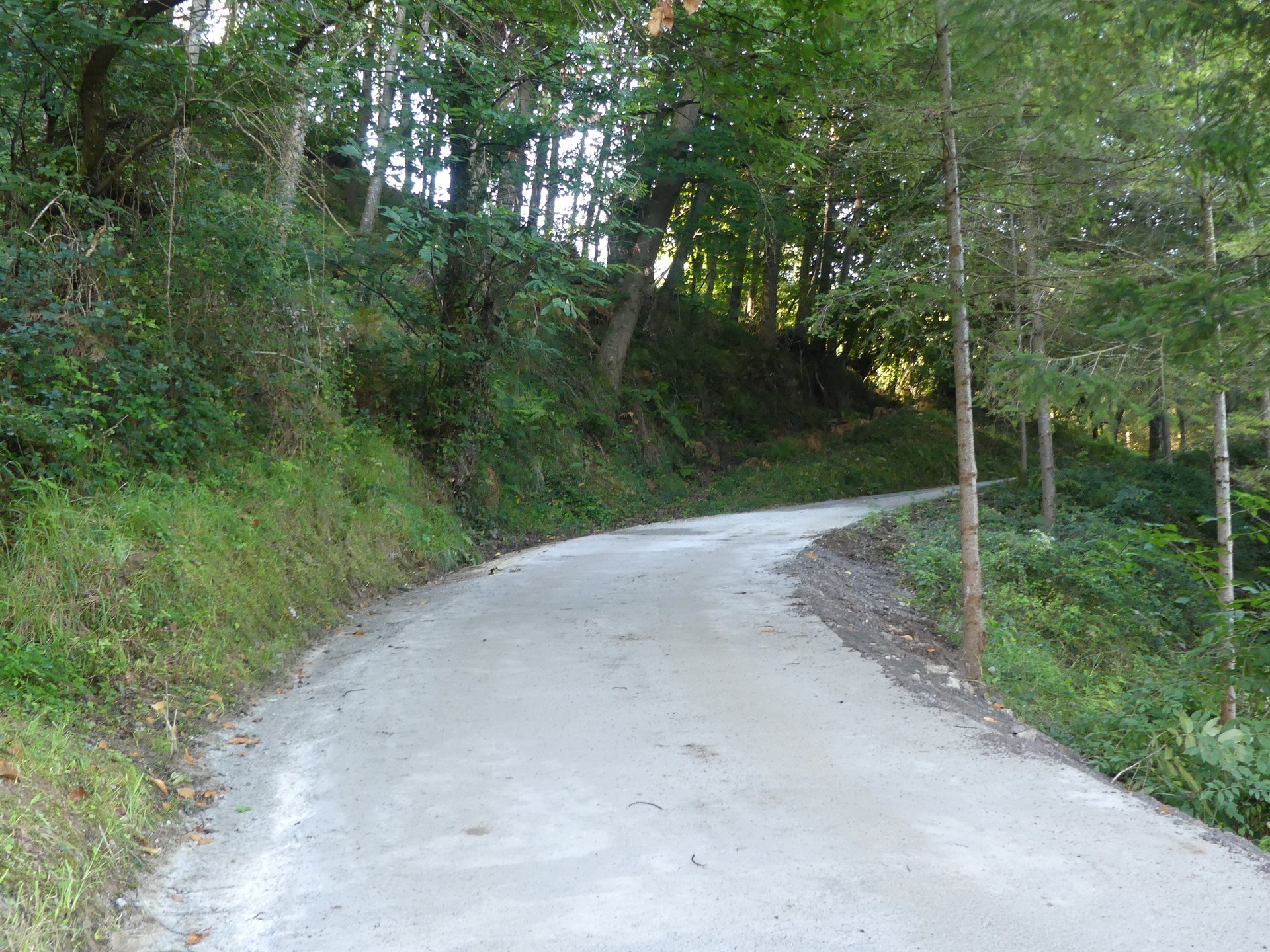 Lanak amaituta, ireki da Alustizara doan errepidea