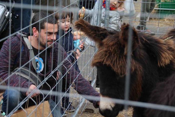 Tolosako Gabonetako Azoka Berezia 2018 57 1545489455869