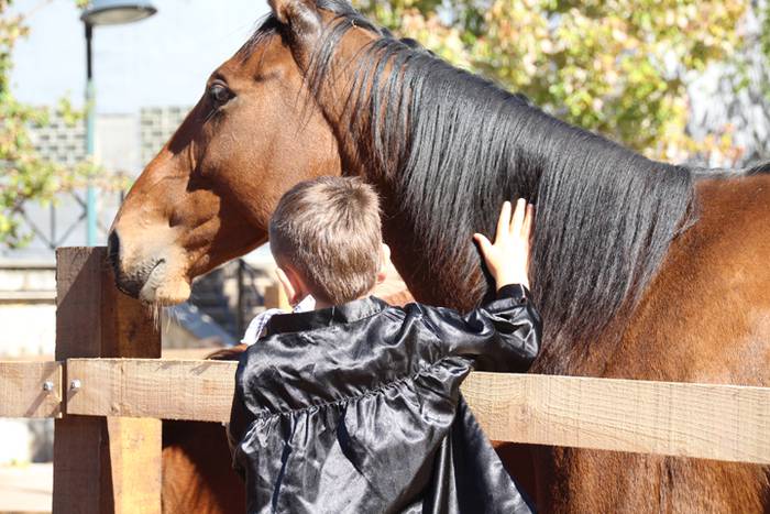 Lurraren zaindari direnen er 92 1507466625066