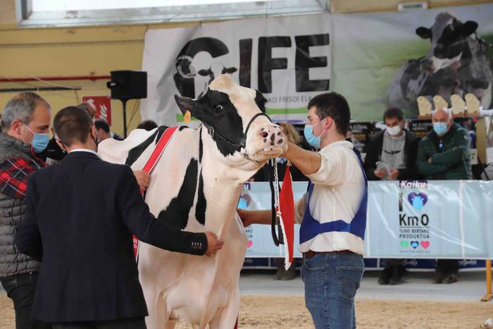 XII. Euskal Herriko Frisoi T 27 1637418675124