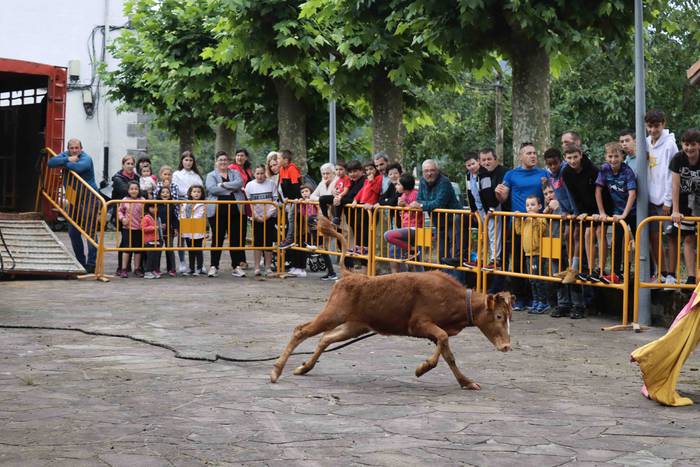 Zezen txikien aurretik 2 1656263611300